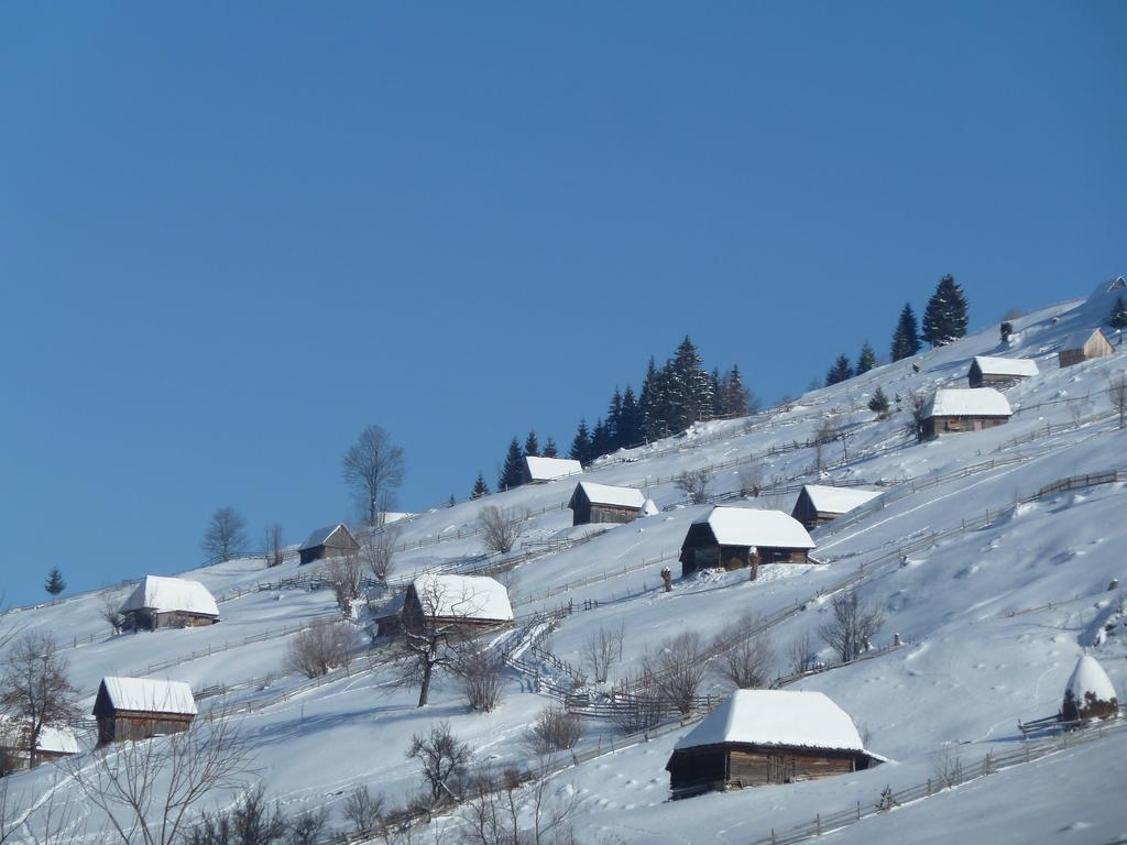 Ranger Chalet Моечиу-де-Сус Номер фото