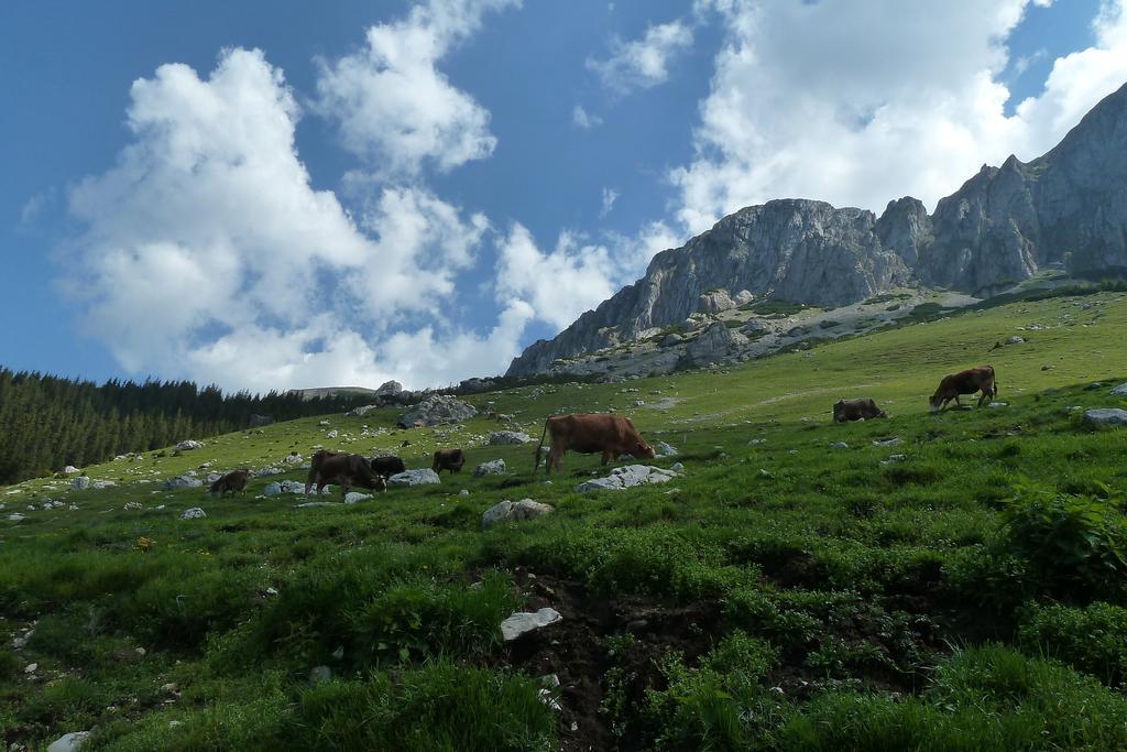 Ranger Chalet Моечиу-де-Сус Номер фото